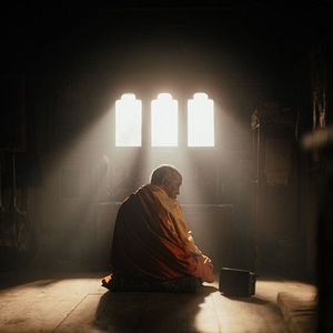 Bilder Was will der Lama mit dem Gewehr?