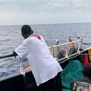 Bilder Einhundertvier