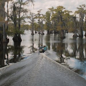 Bilder Caddo Lake
