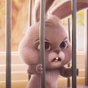 Bilder Der schlaue Hase Momo – Die große Verfolgung