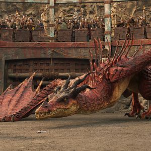 Bilder Drachenzähmen leicht gemacht