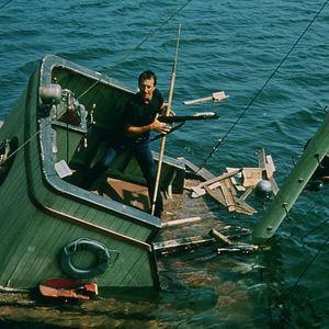 Bilder Der weiße Hai