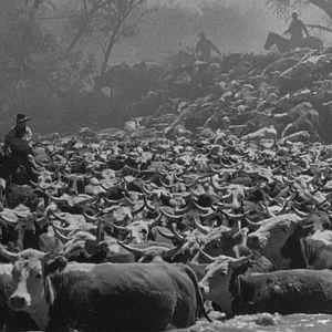 Bilder Kampf ohne Gnade