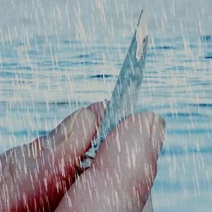 Bilder Doll Shark