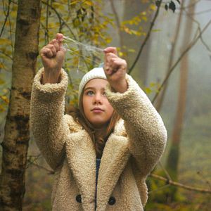 Bilder Das Geheimnis des Einhorns