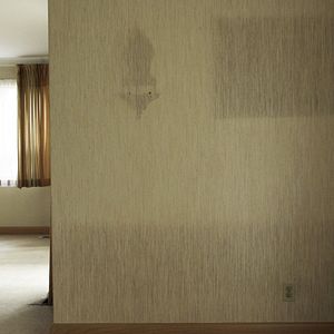 Bilder While The Green Grass Grows (Parts 1+6)