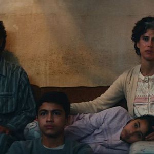 Bilder Im Schatten des Orangenbaums