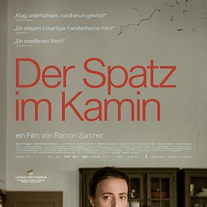 Bilder Der Spatz im Kamin