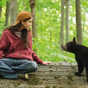 Bilder Melody For A Bear 