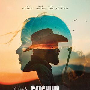 Bilder Catching Dust