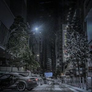 Bilder Sons Of The Neon Night