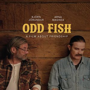 Bilder Odd Fish