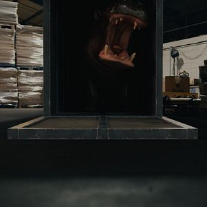 Bilder Hippo's Revenge - Drei Tonnen Zorn