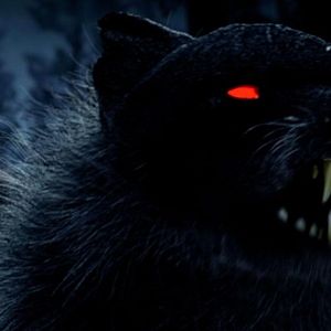 Bilder Witch Hunter - Der Hexenjäger