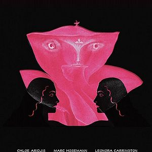 Bilder Female Human Animal