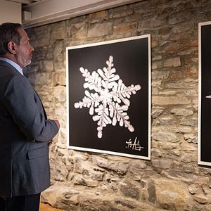 Bilder Michael Gordin Shore