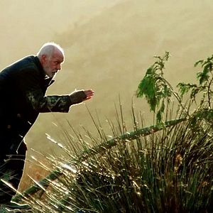 Bilder Vigil - Zeit der Stürme