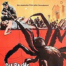 Bilder Die Rache der schwarzen Spinne