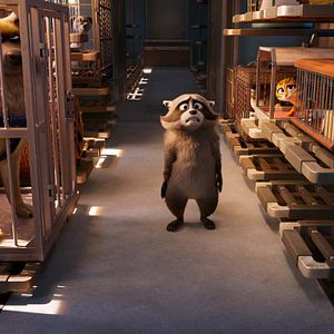 Bilder Tierisch abgefahren - Rettet die Pets!