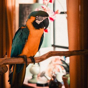 Bilder Die Kinder aus der Silberstraße