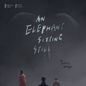 Bilder An Elephant Sitting Still