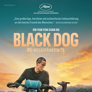 Bilder Black Dog - Weggefährten