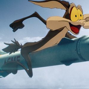 Bilder Coyote vs Acme
