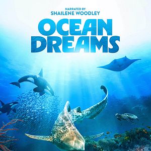 Bilder Ocean Dreams