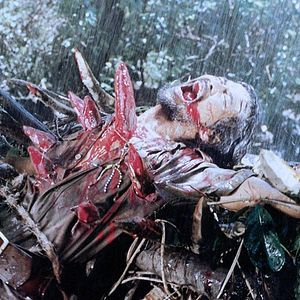Bilder Der Todesschrei der Kannibalen