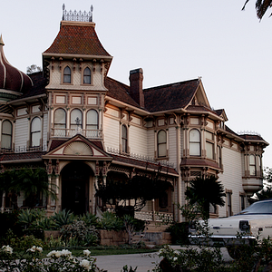 Bilder The Painted - Abbild der Dunkelheit