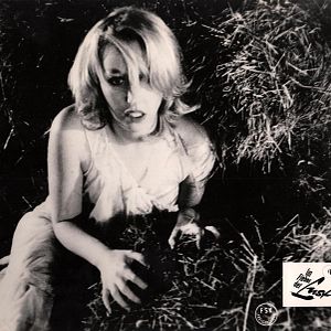 Bilder Im Fieber der Lust