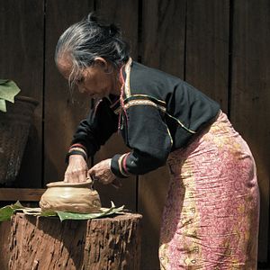 Bilder We Are The Fruits Of The Forest