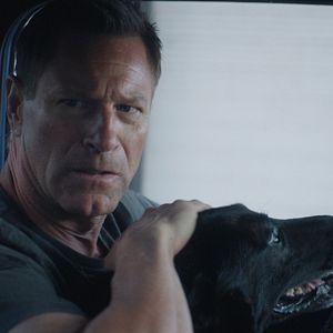 Bilder Muzzle: City Of Wolves