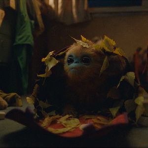 Bilder Die Legende von Ochi