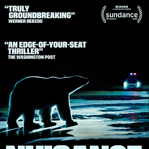 Bilder Nuisance Bear