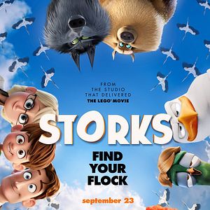 Bilder Störche - Abenteuer im Anflug