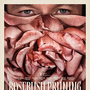 Bilder Rosebush Pruning