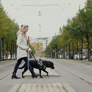 Bilder Was Hunde denken