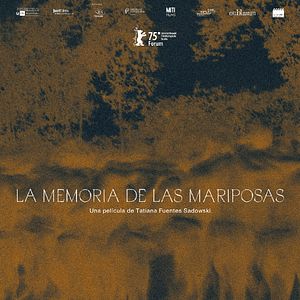 Bilder The Memory Of Butterflies