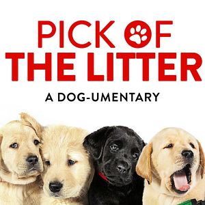 Bilder Pick of the Litter