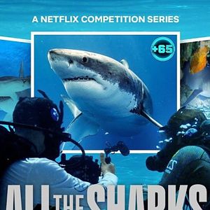 Bilder All the Sharks