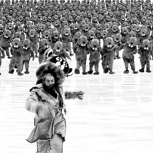 Bilder Hundreds Of Beavers