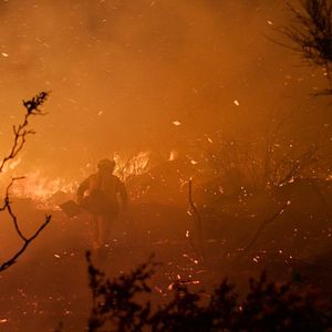 Bilder Only on Earth