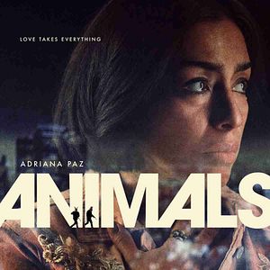 Bilder Animals