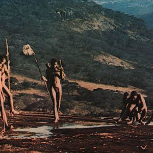 Bilder Mondo Bestiale - Der letzte Schrei des Dschungels