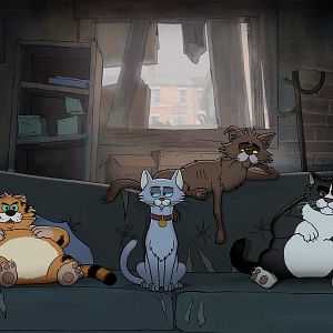 Bilder Alley Cats