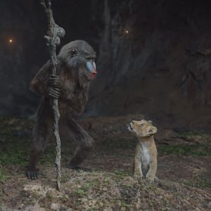 Bilder Mufasa: Der König der Löwen