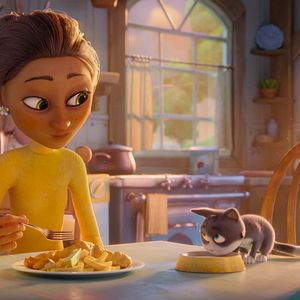 Bilder Alles für die Katz