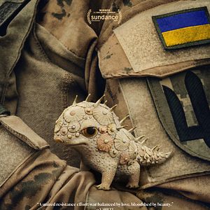 Bilder Porcelain War