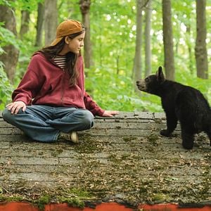 Bilder Melody For A Bear 